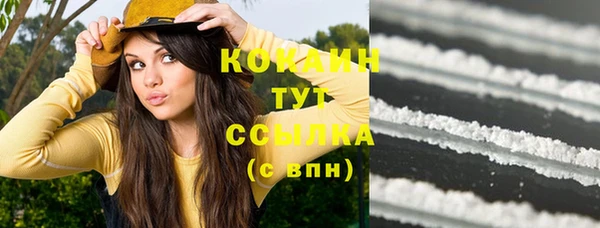 гидра Бородино