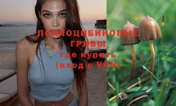 a pvp Бронницы
