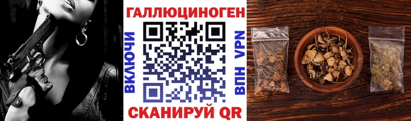 где продают   Ворсма  Псилоцибиновые грибы мухоморы 